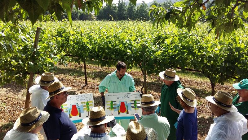 Syngenta renova protocolo de parceria com a Comissão de Viticultura da Região dos Vinhos Verdes